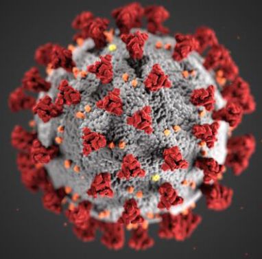 Corona-Virus